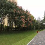 上海未来的绿洲：探寻上海以后的后花园之所在